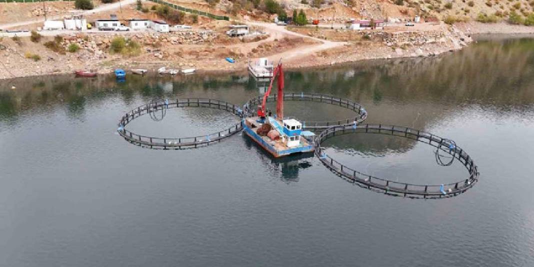 Diyarbakır’dan dünyaya “Mezopotamya somonu” ihracatı! 500 ton üretim kapasitesi var: 1 yılda büyük başarı 5